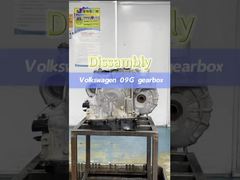 MG5 TS11 Otomatik Şanzıman Kemeri Montajı için yepyeni orijinal 901100 Zinciri