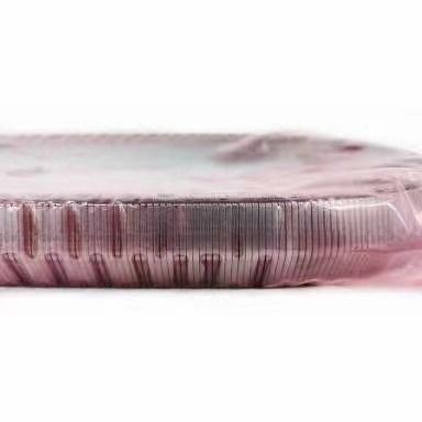 2KG JF017E RE0F10D TEANA X Trail QASHQAI 901074 901089 901096 için dişli kutusu kemer zinciri